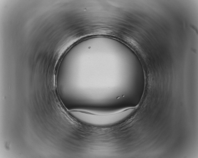 X0000102791324200809021106