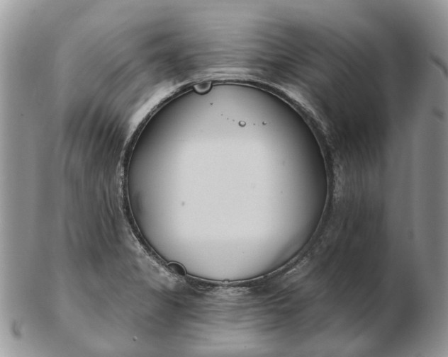 X0000102791325200809021106