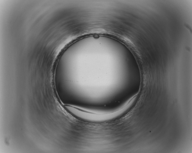 X0000102791326200809021106