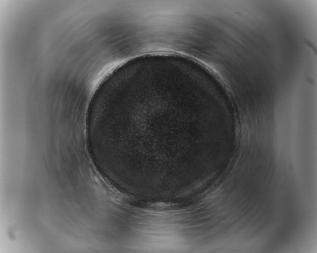 X0000102791327200809021106