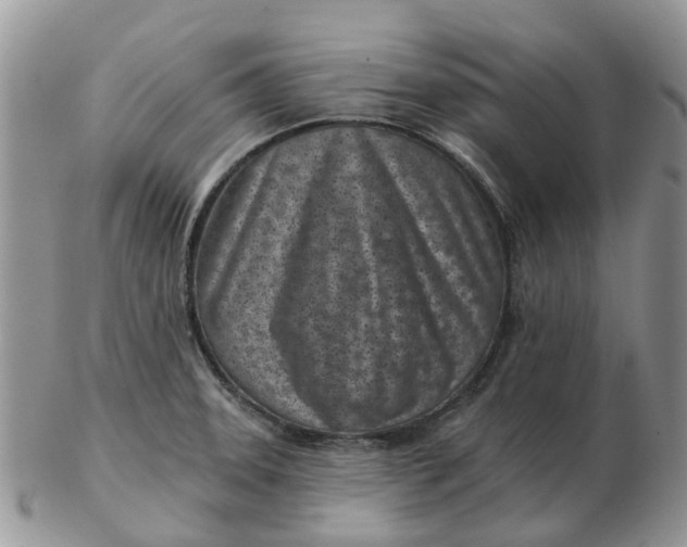 X0000102791331200809021106