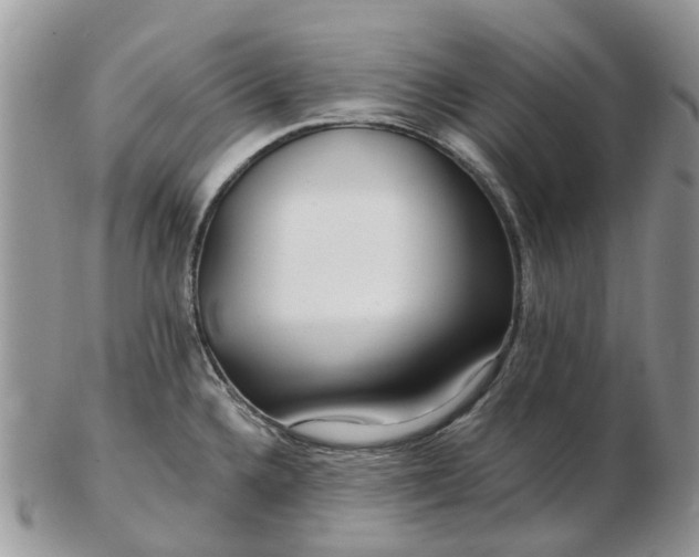 X0000102791336200809021106