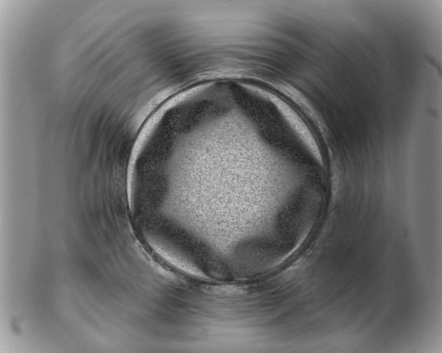 X0000102791337200809021106