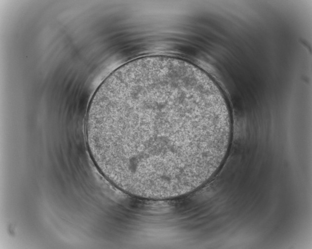 X0000102791338200809021106