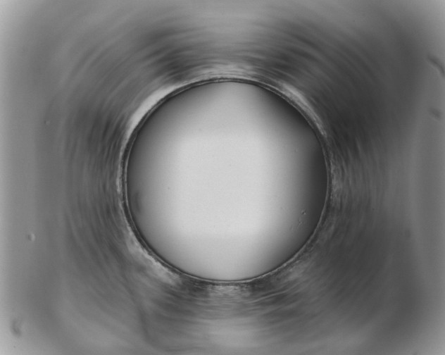 X0000102791339200809021106