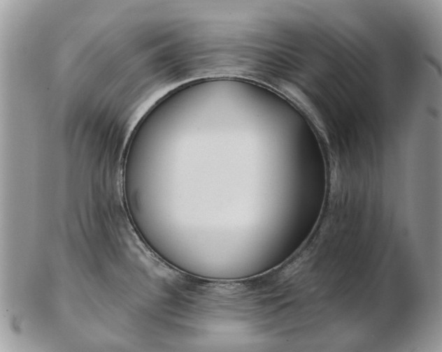 X0000102791340200809021106