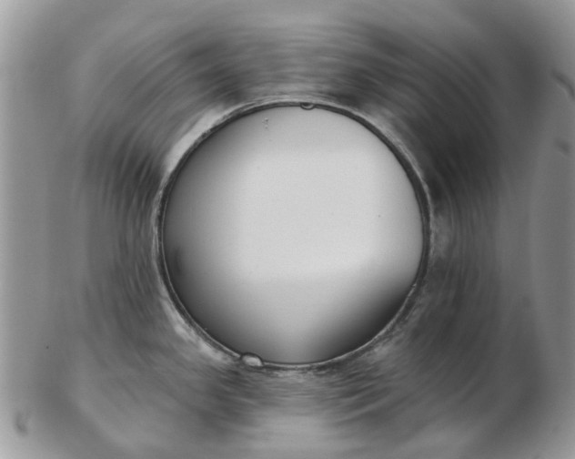 X0000102791341200809021106