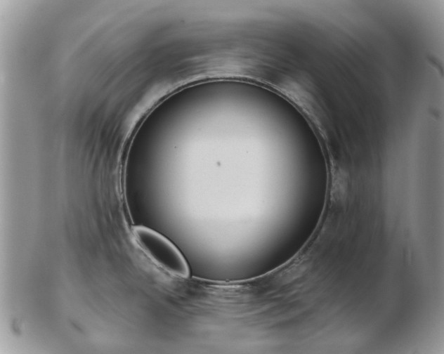 X0000102791342200809021106