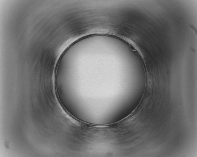 X0000102791343200809021106