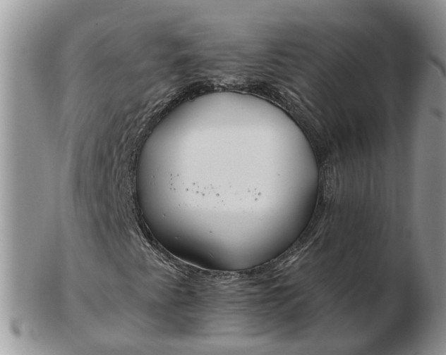 X0000102791345200809021105