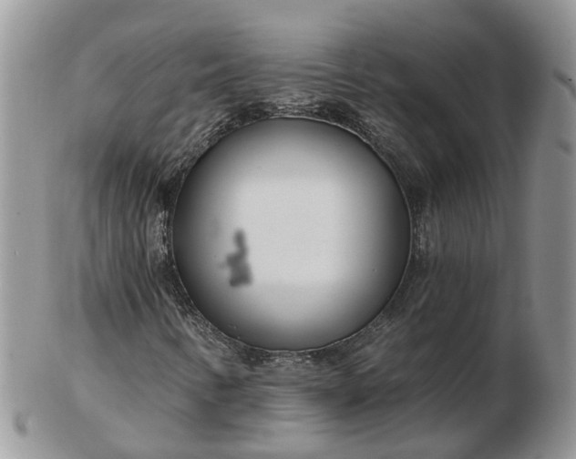 X0000102791346200809021105