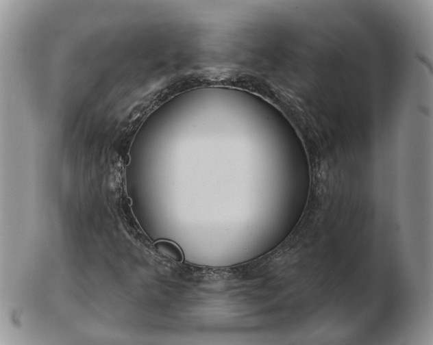 X0000102791349200809021105