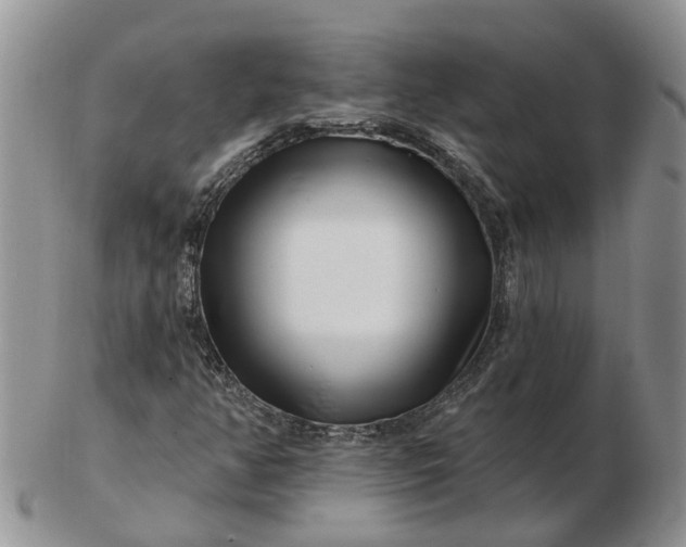 X0000102791350200809021105