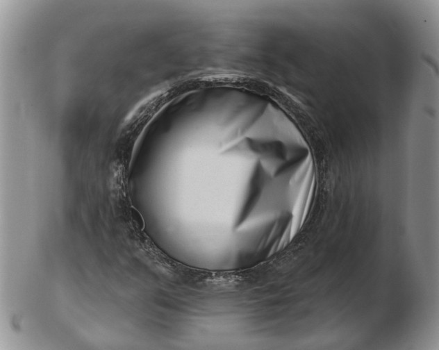 X0000102791351200809021105