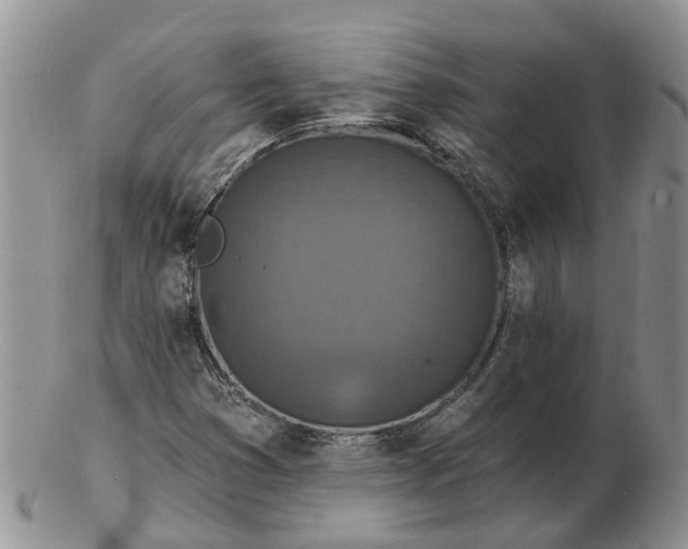 X0000102791353200809021105