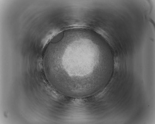 X0000102791357200809021105