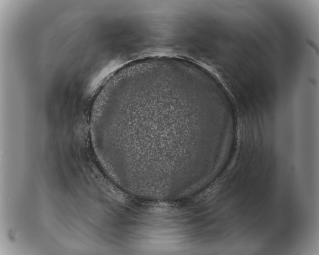 X0000102791359200809021105