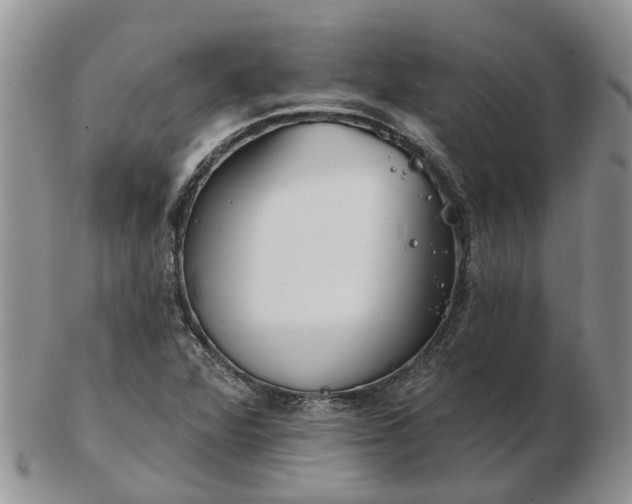 X0000102791360200809021105