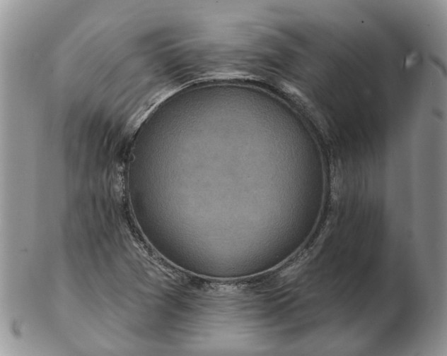 X0000102791361200809021105