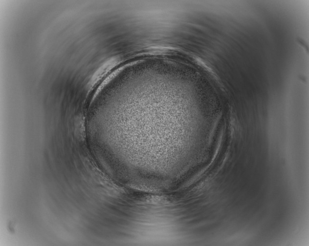 X0000102791362200809021105