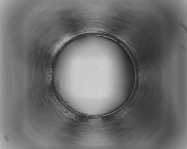 X0000102791363200809021105