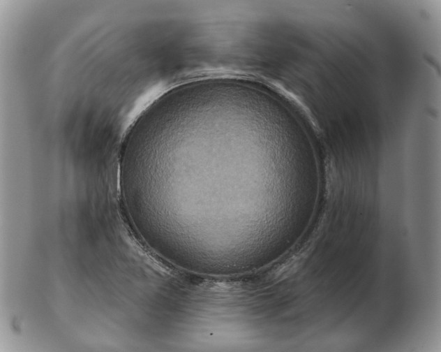 X0000102791365200809021105