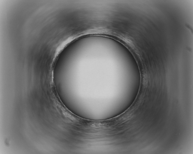 X0000102791366200809021105