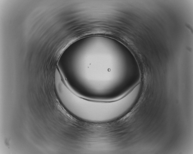 X0000102791369200809021105