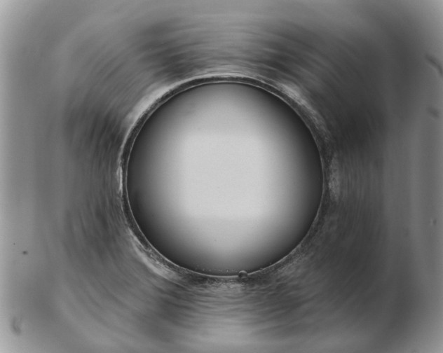 X0000102791372200809021105