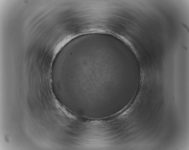 X0000102791373200809021105