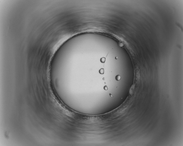 X0000102791375200809021105