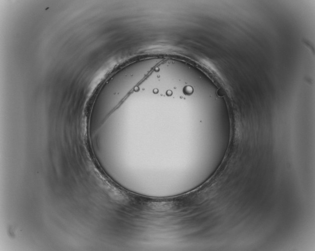 X0000102791376200809021105