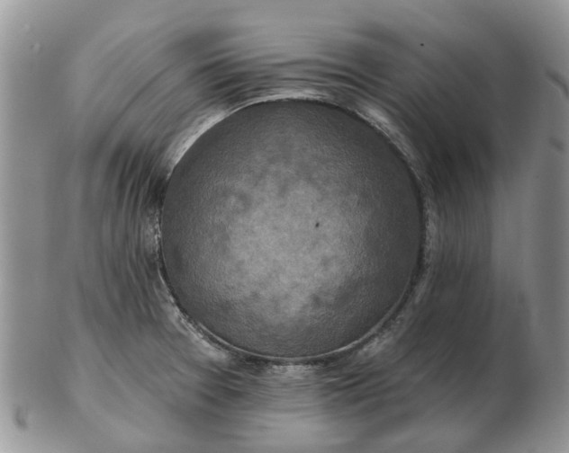 X0000102791377200809021105