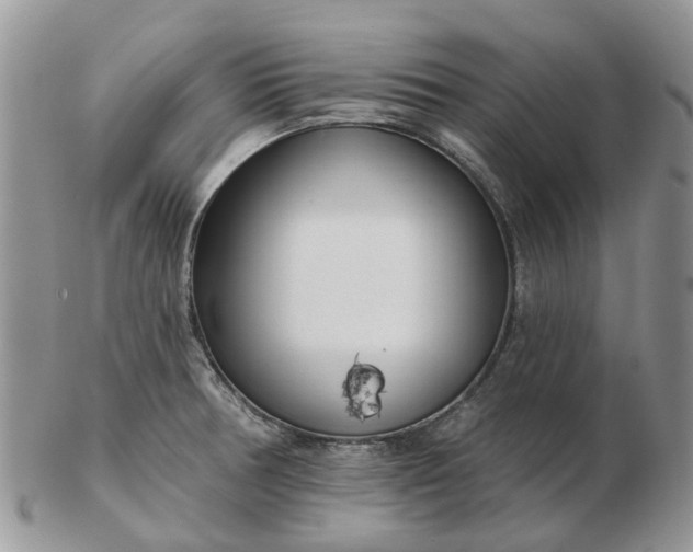 X0000102791378200809021105