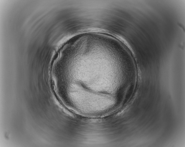 X0000102791381200809021105