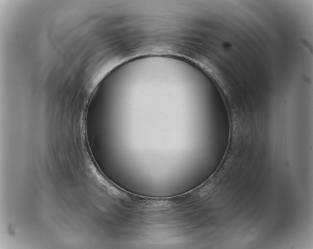 X0000102791382200809021105