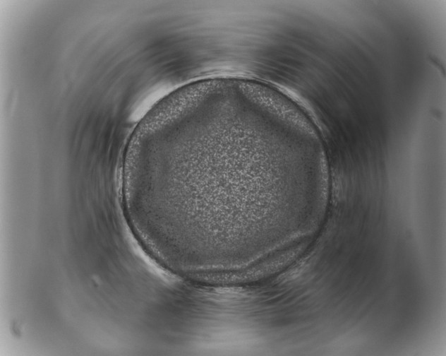 X0000102791383200809021105