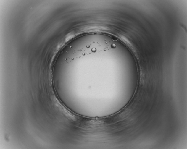 X0000102791384200809021105