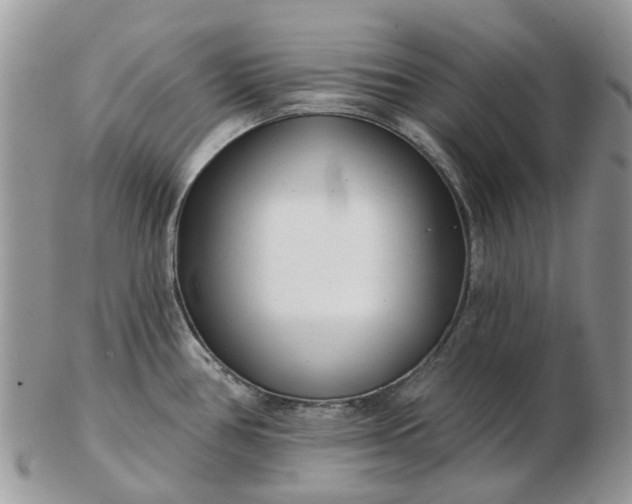 X0000102791386200809021105