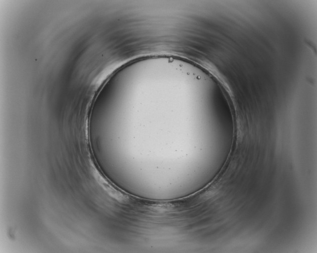 X0000102791388200809021105