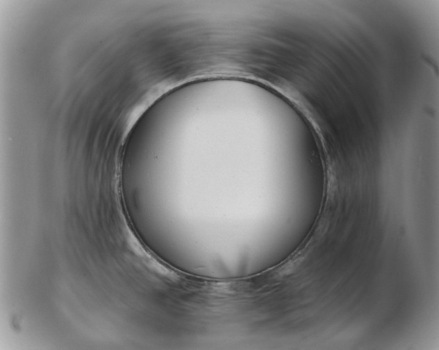 X0000102791390200809021105