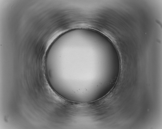 X0000102791392200809021105