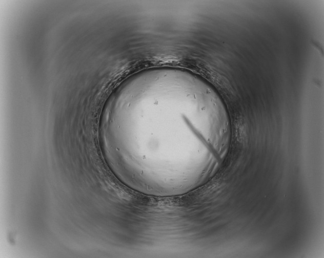 X0000102791393200809021104