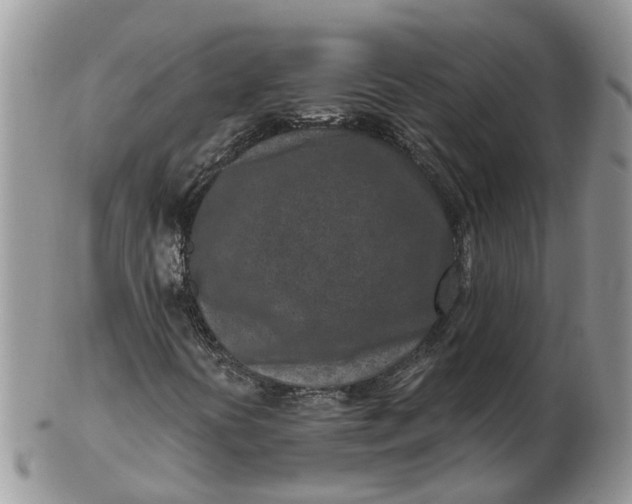 X0000102791394200809021104