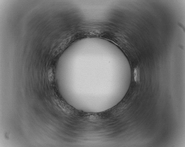 X0000102791395200809021104