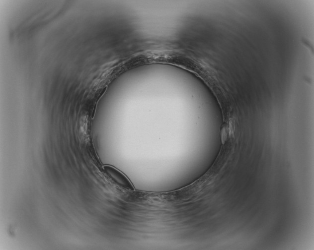 X0000102791396200809021104