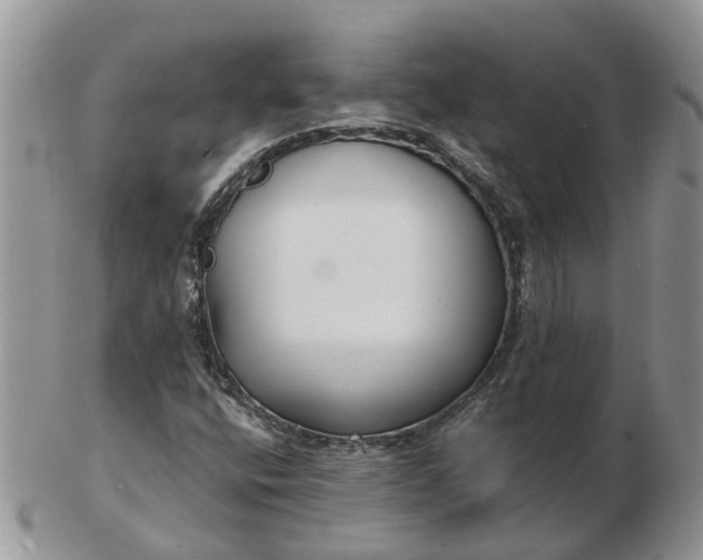 X0000102791400200809021104