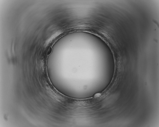 X0000102791402200809021104