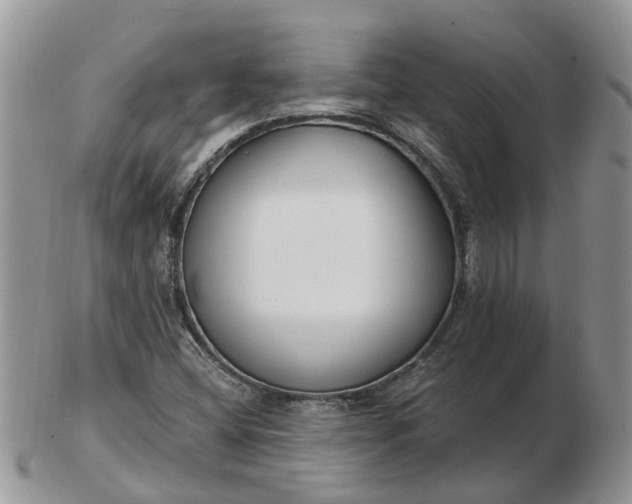 X0000102791404200809021104