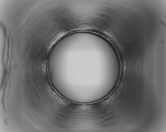 X0000102791409200809021104